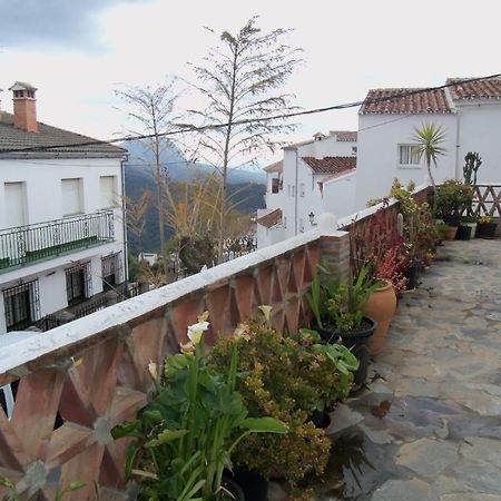 Apartamentos Rurales Jardines Del Visir Genalguacil Exteriör bild
