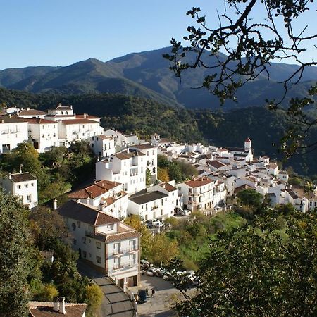 Apartamentos Rurales Jardines Del Visir Genalguacil Exteriör bild