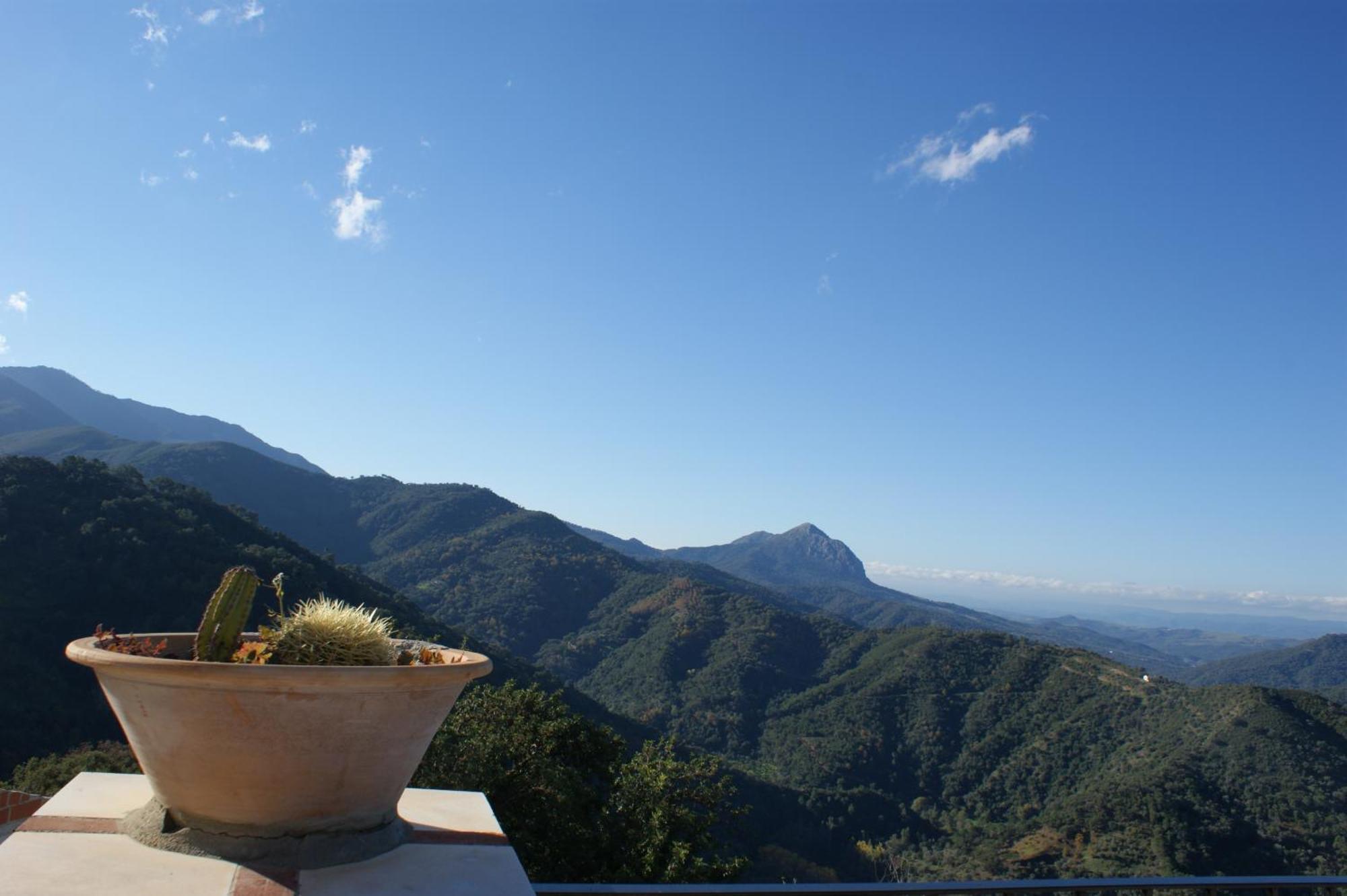 Apartamentos Rurales Jardines Del Visir Genalguacil Exteriör bild