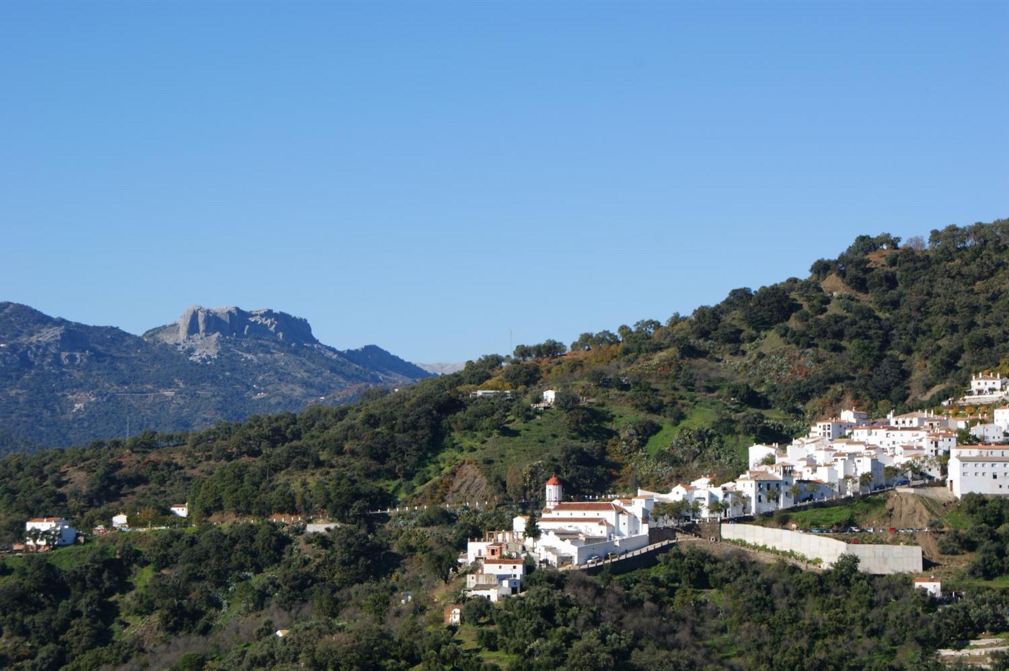Apartamentos Rurales Jardines Del Visir Genalguacil Exteriör bild