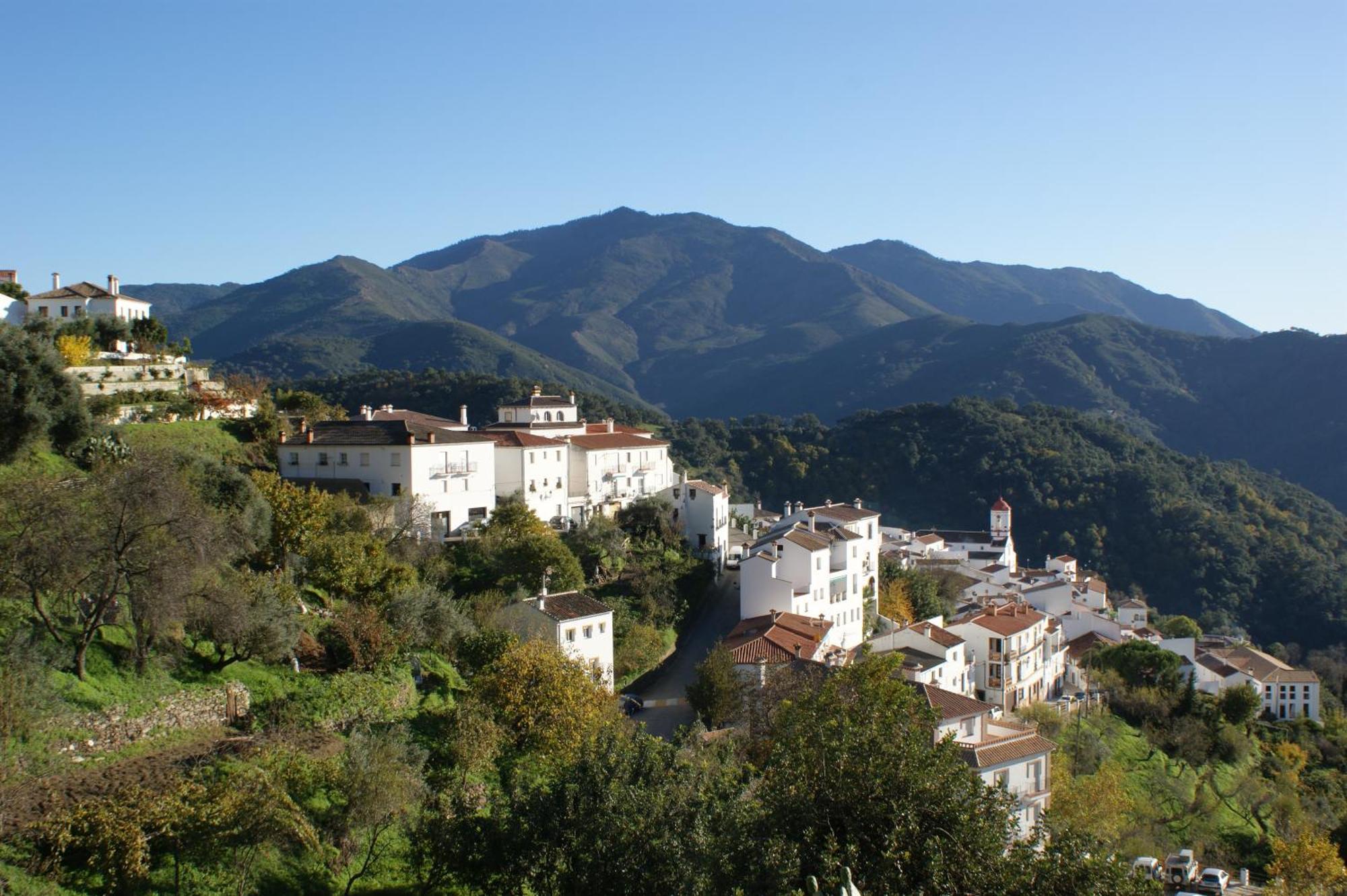 Apartamentos Rurales Jardines Del Visir Genalguacil Exteriör bild
