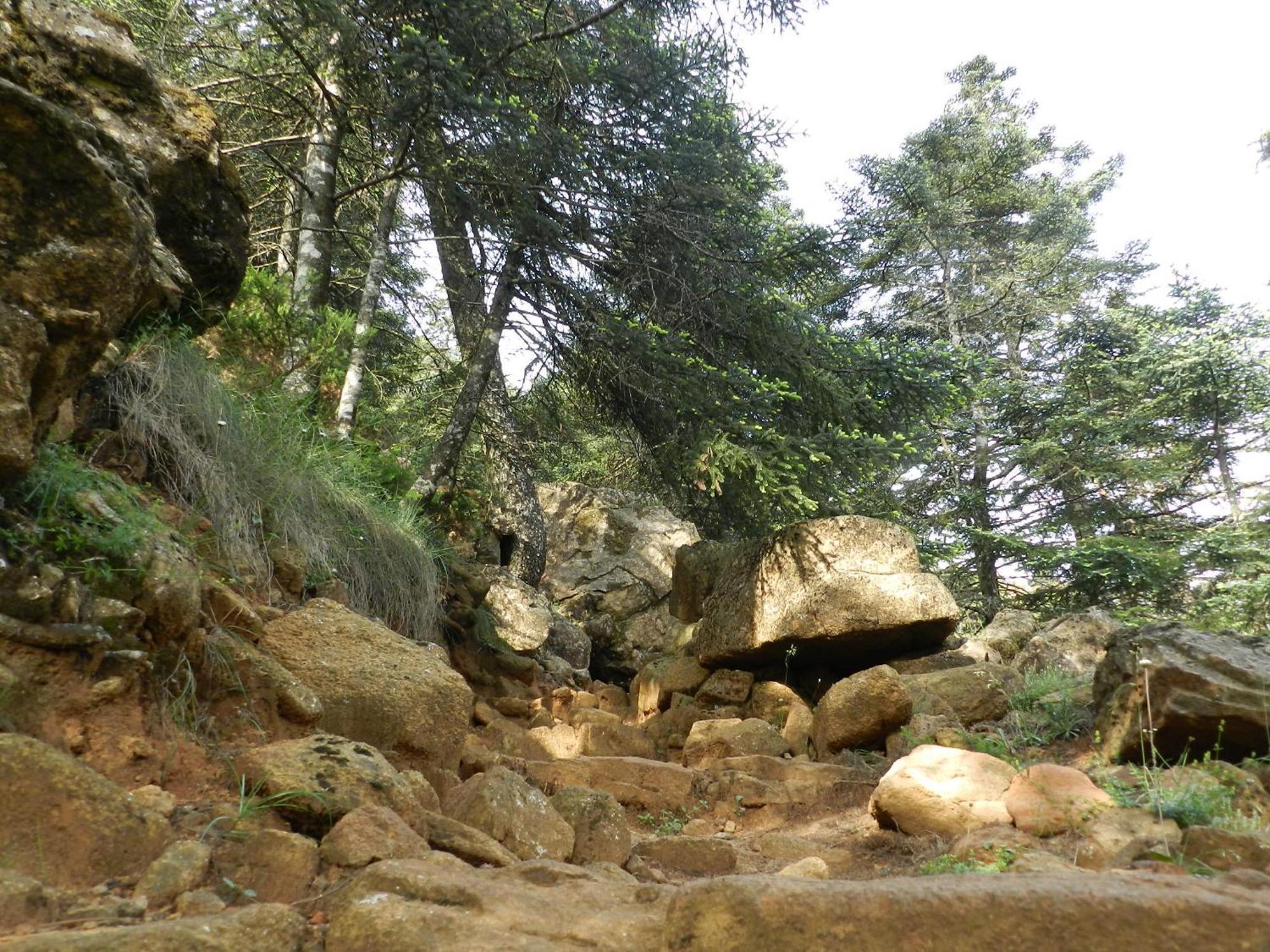 Apartamentos Rurales Jardines Del Visir Genalguacil Exteriör bild
