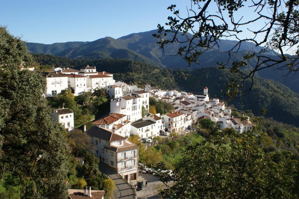 Apartamentos Rurales Jardines Del Visir Genalguacil Exteriör bild