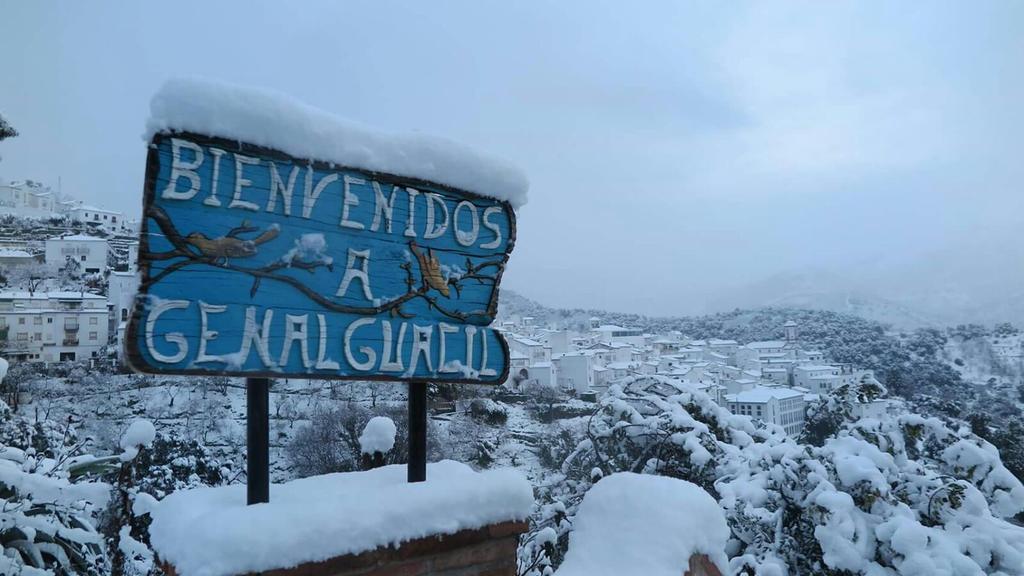 Apartamentos Rurales Jardines Del Visir Genalguacil Exteriör bild