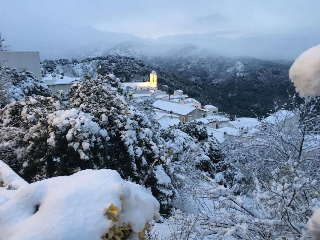 Apartamentos Rurales Jardines Del Visir Genalguacil Exteriör bild