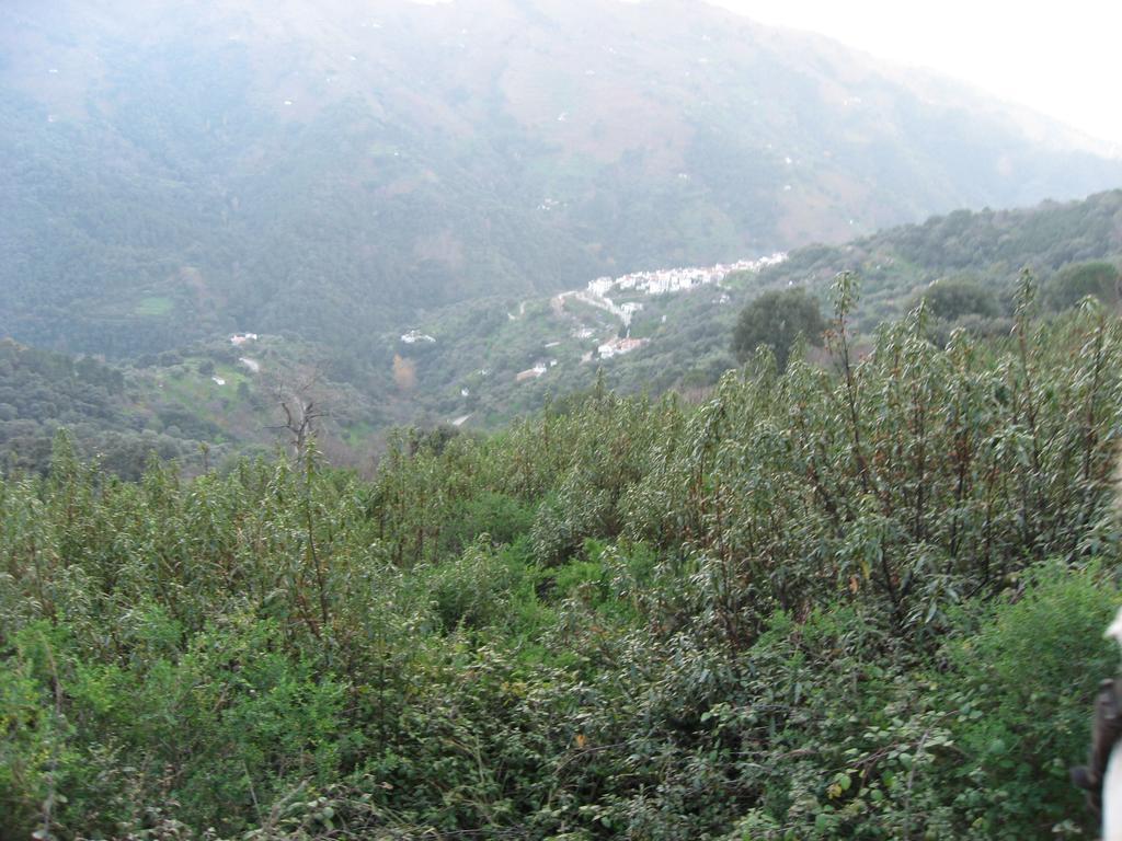 Apartamentos Rurales Jardines Del Visir Genalguacil Exteriör bild